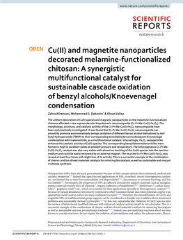 Cu(II) and Magnetite Nanoparticles Decorated Melamine-Functionalized Chitosan