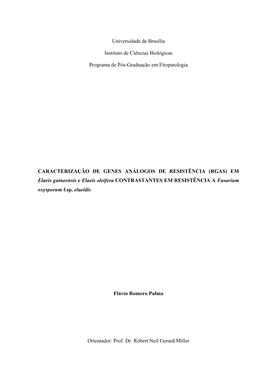 2011 Flavioromeropalma.Pdf