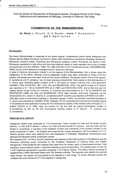 Cytogenetics of the Rhinocerotidae