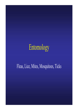 Entomology.Pdf