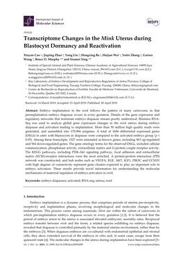 Transcriptome Changes in the Mink Uterus During Blastocyst Dormancy and Reactivation