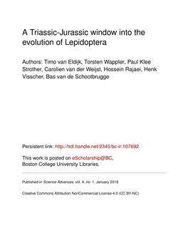 A Triassic-Jurassic Window Into the Evolution of Lepidoptera