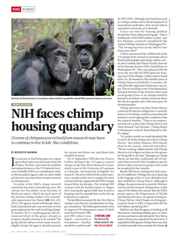 NIH Faces Chimp Housing Quandary