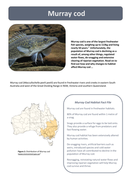 Murray Cod Habitat Factsheet