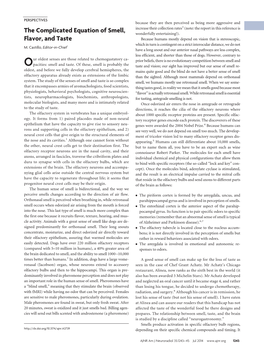 The Complicated Equation of Smell, Flavor, and Taste
