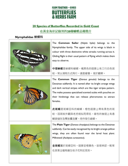 20 Species of Butterflies Recorded in Gold Coast 20 Nymphalidae 蛺蝶科