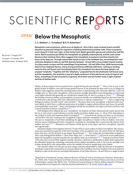 Below the Mesophotic C