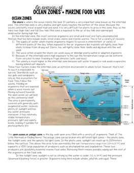 OCEAN ZONES + MARINE FOOD WEBS OCEAN ZONES the Shore Is Where the Ocean Meets the Land