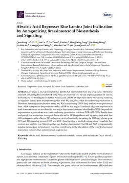 Abscisic Acid Represses Rice Lamina Joint Inclination by Antagonizing Brassinosteroid Biosynthesis and Signaling