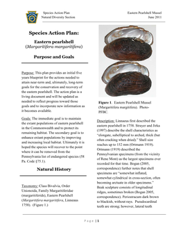 Species Action Plan