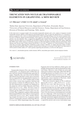 Truncated Non-Nuclear Transposable Elements in Grapevine: a Mini Review
