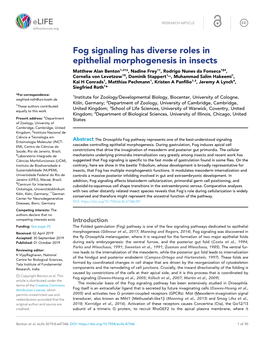 Fog Signaling Has Diverse Roles in Epithelial Morphogenesis in Insects