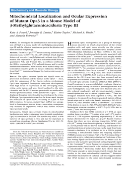 Mitochondrial Localization and Ocular Expression of Mutant Opa3 in a Mouse Model of 3-Methylglutaconicaciduria Type III