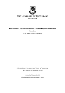 Interactions of Clay Minerals and Their Effects on Copper-Gold Flotation Nestor Cruz Beng, Msc in Chemical Engineering