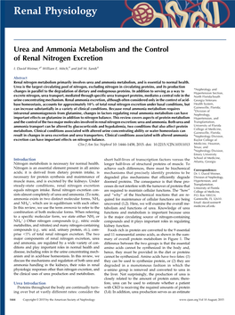 Urea and Ammonia Metabolism and the Control of Renal Nitrogen Excretion CJASN 2015