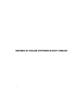 Enzymes of Choline Synthesis in Dicot Families a Comparative Biochemical Study of the Enzvmes of Choline Synthesis in Several Dicotyledon Families