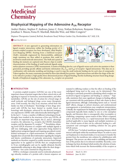 Biophysical Mapping of the Adenosine A2A Receptor Andrei Zhukov, Stephen P