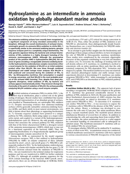 Hydroxylamine As an Intermediate in Ammonia Oxidation by Globally Abundant Marine Archaea