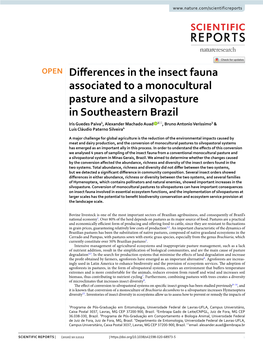 Differences in the Insect Fauna Associated to a Monocultural Pasture and a Silvopasture in Southeastern Brazil