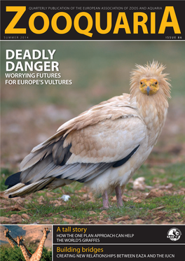 Deadly Danger Worrying Futures for Europe’S Vultures