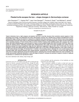 RESEARCH ARTICLE Pleated Turtle Escapes the Box – Shape Changes in Dermochelys Coriacea