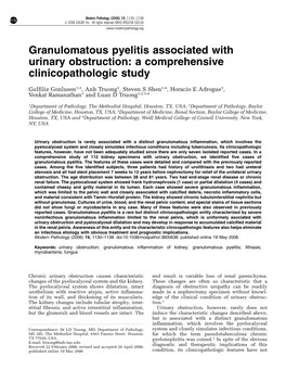 Granulomatous Pyelitis Associated with Urinary Obstruction: a Comprehensive Clinicopathologic Study