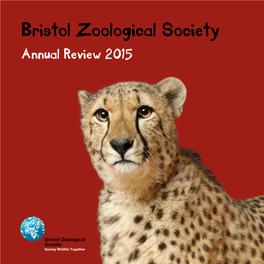 Bristol Zoological Society Annual Review 2015 Contents Chair of Trustees’ Chief Executive Winter 4 Welcome Officer’S Welcome Wild Place Project 6