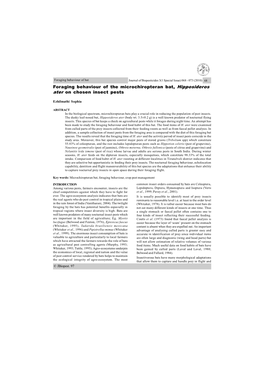 Foraging Behaviour of the Microchiropteran Bat, Hipposideros Ater on Chosen Insect Pests