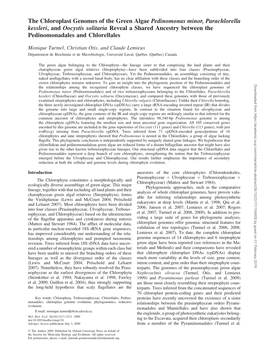 The Chloroplast Genomes of the Green Algae Pedinomonas Minor