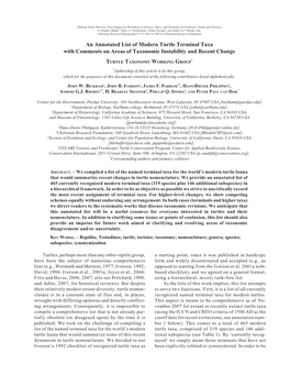 Turtle Taxonomy Working Group 2007B