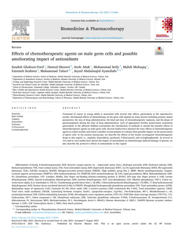 Effects of Chemotherapeutic Agents on Male Germ Cells and Possible Ameliorating Impact of Antioxidants