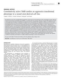 Constitutively Active Trkb Confers an Aggressive Transformed Phenotype to a Neural Crest-Derived Cell Line