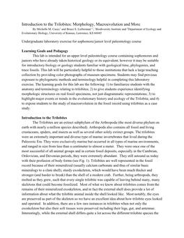 Introduction to the Trilobites: Morphology, Macroevolution and More by Michelle M