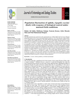 Population Fluctuation of Aphids, Lipaphis Erysimi