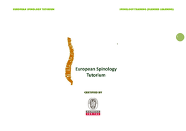 Anatomy of the Spine Anatomy 2 – Neuroanatomy