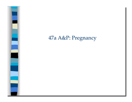 47A A&P: Pregnancy