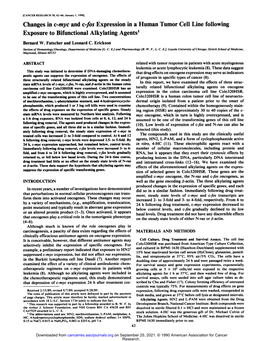 Changes in C-Myc and C-Fos Expression in a Human Tumor Cell Line Following Exposure to Bifunctional Alkylating Agents1