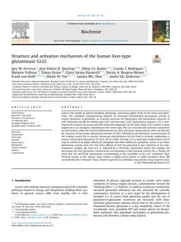 Structure and Activation Mechanism of the Human Liver-Type Glutaminase GLS2