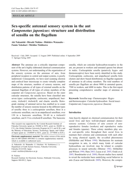 Sex-Specific Antennal Sensory System in the Ant Camponotus Japonicus: Structure and Distribution of Sensilla on the Flagellum