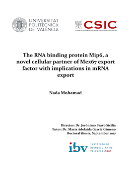 The RNA Binding Protein Mip6, a Novel Cellular Partner of Mex67 Export Factor with Implications in Mrna