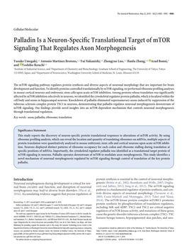 Palladin Is a Neuron-Specific Translational Target of Mtor Signaling That Regulates Axon Morphogenesis