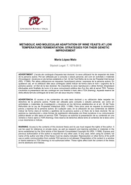 Metabolic and Molecular Adaptation of Wine Yeasts at Low Temperature Fermentation: Strategies for Their Genetic Improvement