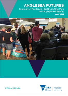 ANGLESEA FUTURES Summary of Feedback - Draft Land Use Plan and Engagement Report June 2018