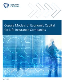Copula Models of Economic Capital for Life Insurance Companies