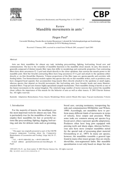 Mandible Movements in Ants ଝ