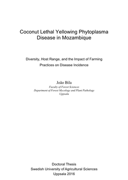 Coconut Lethal Yellowing Phytoplasma Disease in Mozambique