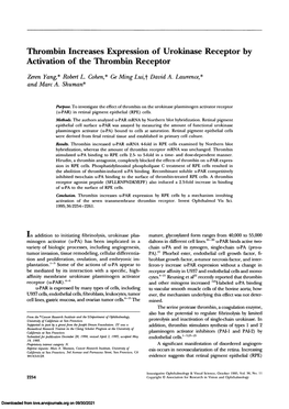 Thrombin Increases Expression of Urokinase Receptor by Activation of the Thrombin Receptor