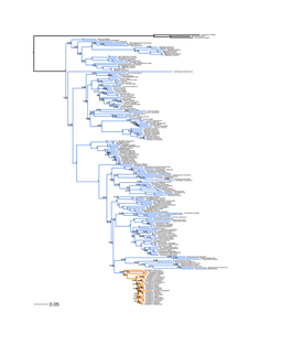 R Graphics Output