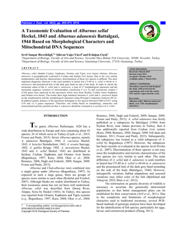 A Taxonomic Evaluation of Alburnus Sellal Heckel, 1843 and Alburnus Adanensis Battalgazi, 1944 Based on Morphological Characters and Mitochondrial DNA Sequences