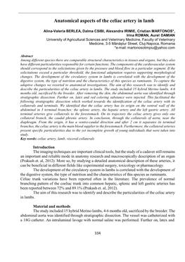 Anatomical Aspects of the Celiac Artery in Lamb